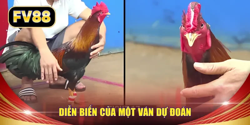 Diễn biến của một ván dự đoán
