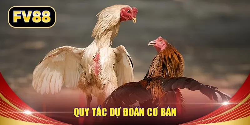 Quy tắc dự đoán cơ bản