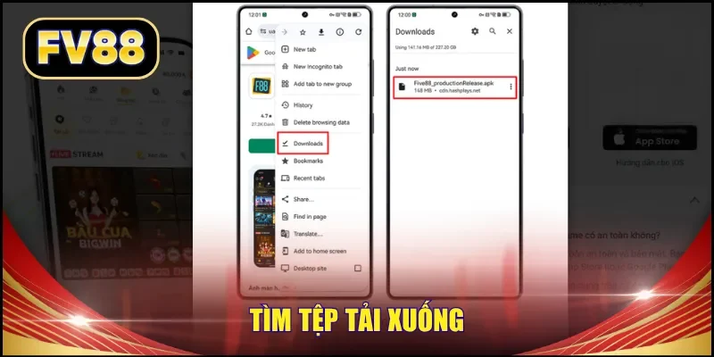 Tìm tệp tải xuống