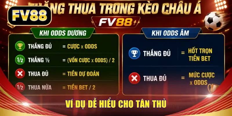 Ví dụ dễ hiểu cho tân thủ